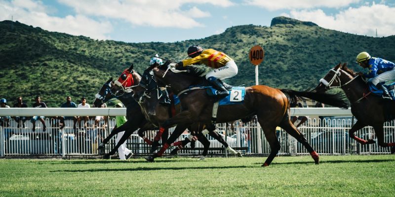 Horse racing betting and the rules you need to understand
