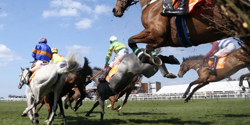 Introducing the main features of horse racing betting 